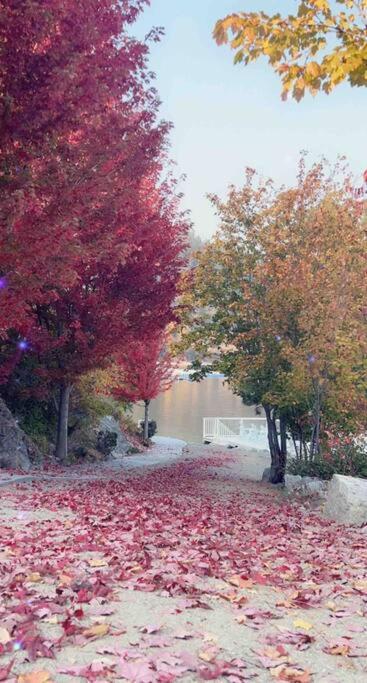 Jasmine Cottage เคโลว์นา ภายนอก รูปภาพ